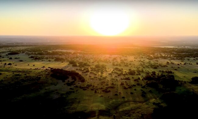 Природа. Фото: YouTube, скрін