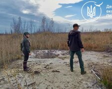 Держекоінспекція 