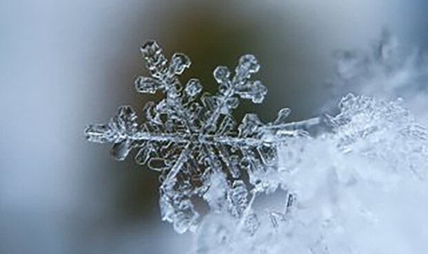 Сніг та мороз до мінус 6: синоптик Діденко попередила про погоду у вівторок 20 листопада