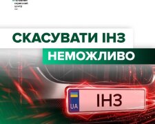 Ілюстрація до замовлення індивідуального номерного знака через Кабінет водія