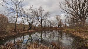 Якою буде погода в Україні 4 грудня - прогноз Наталки Діденко. Фото: з відкритих джерел