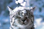 Погода на 14 декабря 2019 года