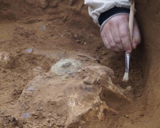 Археологи нашли деревянный щит, которому 2300 лет: полностью перевернул представление об оружии