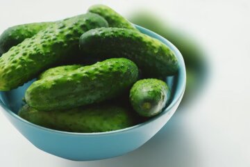 Огурцы. Фото: YouTube