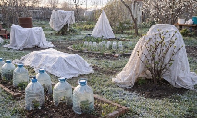 Похолодание в мае. Фото: Telegram