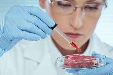 Растительное мясо, фото: iz.ru