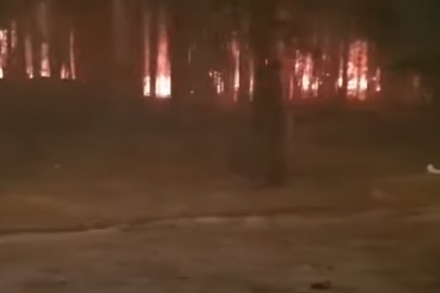 ЧП на Луганщине: небо в огне, людей эвакуируют из домов
