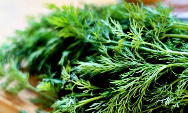 Кріп. Фото: YouTube