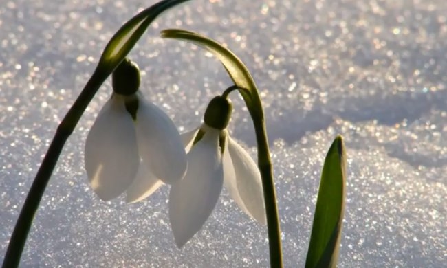 Погода на 26 февраля 2020 года