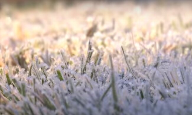 Заморозки. Фото: скриншот видео