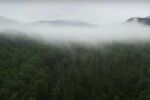 Укриана Карпаты. Фото: скриншот YouTube