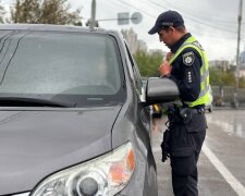 В МВД предупредили водителей, где проверить штрафы за нарушения ПДД