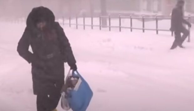 В Украине выпал снег. Фото: YouTube, скрин