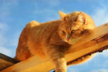 Курс валют на 27.03.2020