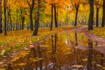 Погода 29 сентября 2020 года