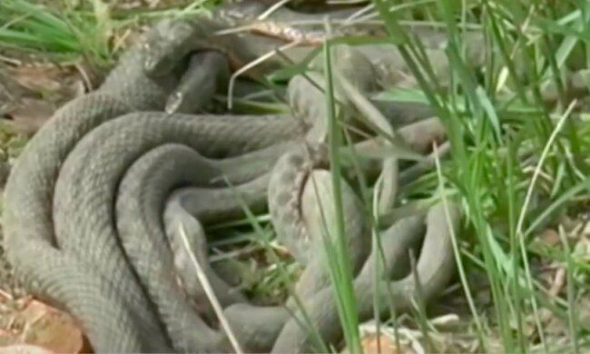 Харьков.Фото: скриншот YouTube