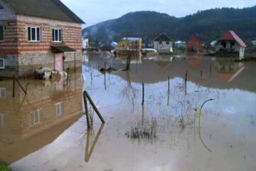 Фото: Закарпаття онлайн