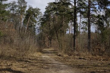 Весна. Погода. Фото Стены