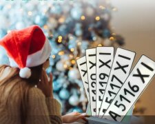 Началась выдача новых номеров всем, что в них особенного и как оформить