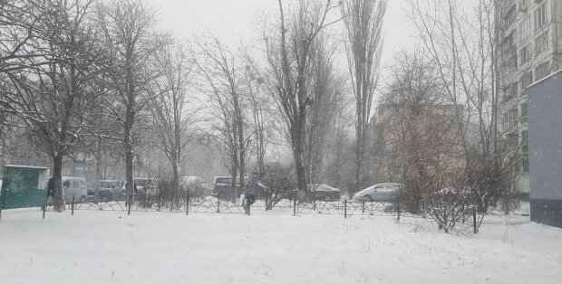 Зима в Україні. Фото: Стіна