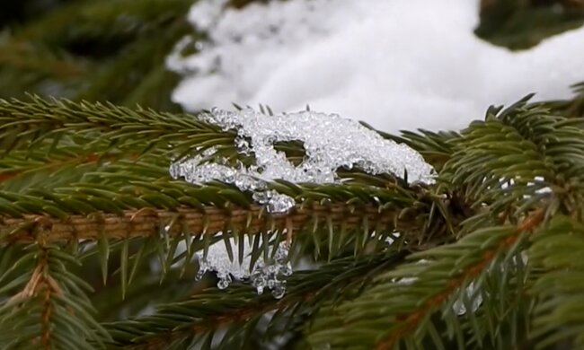 Зима. Фото: скриншот Youtube-видео