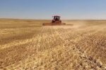 Можно заработать до 300 тысяч с гектара: украинцев с земельными паями уже предупредили