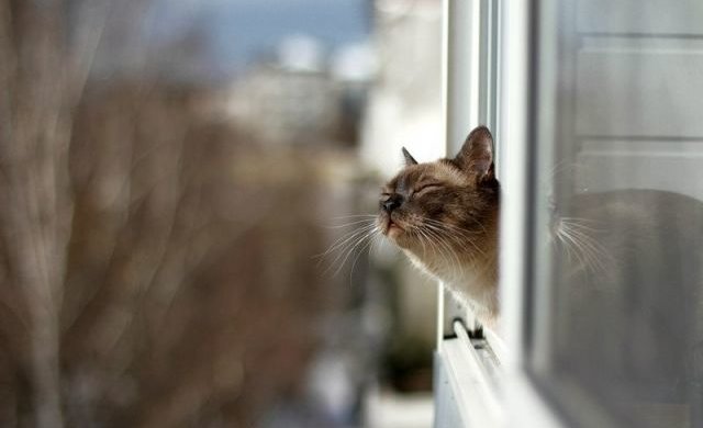 Погода весной. Фото: Дело