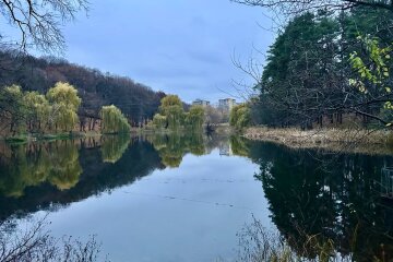 До +14, а потім мороз і знову тепло: синоптик Діденко дала прогноз на п'ятницю та аж до понеділка