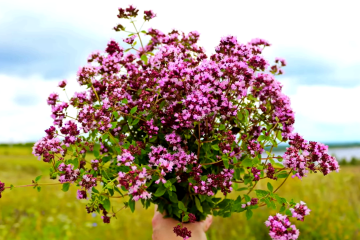 Синоптик Наталка Диденко представила прогноз погоды на воскресенье, 8 июня. Фото: YouTube