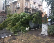 Шторм в Киеве: из-за ливней и грозы в пригороде погиб человек