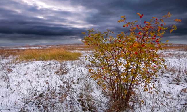 В Україну йдуть сильні заморозки. Фото: YouTube