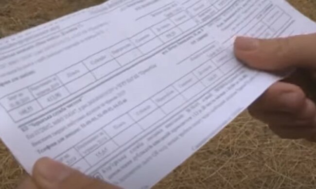 Как и кому платить за газ. Фото: скриншот Youtube