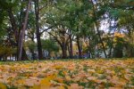 Харьков. Фото: скриншот YouTubeв