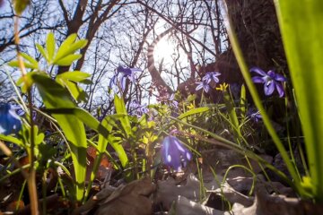 Потепление в Украине. Фото: скриншот YouTube