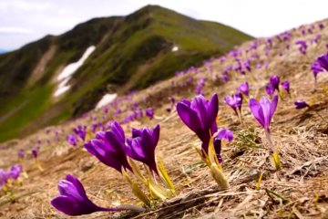 Погода на 18 февраля 2020 года