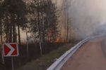 Пожары в Житомирской области. Фото: ТСН