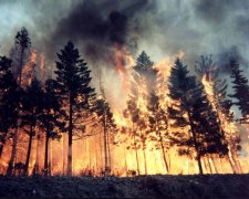 Дым от пожаров в Сибири уже пришел в США и Канаду