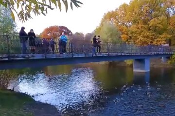 Осень. Фото: Youtube