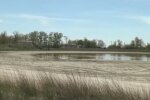 Засуха в Украине. Фото: YouTube, скрин