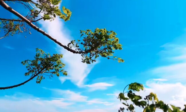 Погода. Фото: YouTube, скрін