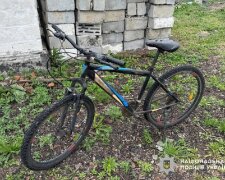 Полиция Житомирщины: кража транспорта
