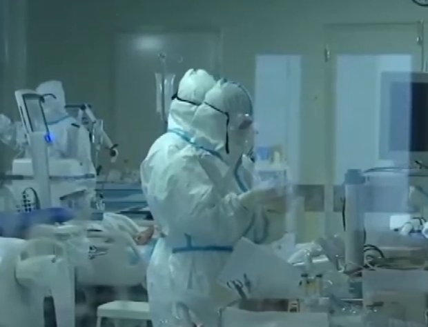 Коронавирус изучают ученые