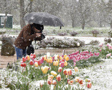Погода на 7 мая: синоптики предупредили о снеге