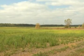 Сельхоз земля. Фото: скриншот Youtube