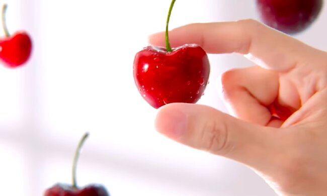 Вишня, черешня. Фото: YouTube