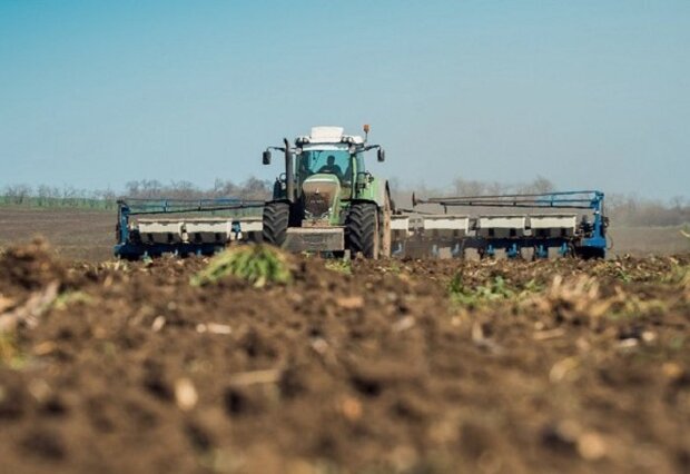 Хто має пай: ціну на землю переписали, скільки коштує гектар