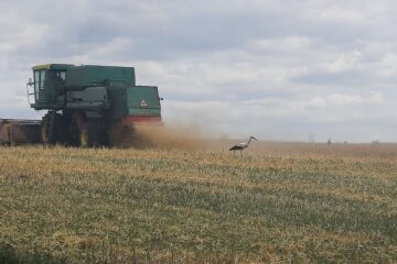 Земельна ділянка. Фото: Ukrainianwall