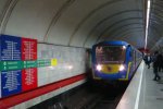 В столичном метро пасажиры заметили растительность