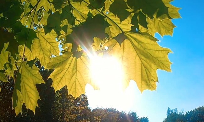 Природа. Фото: скріншот YouTube-відео