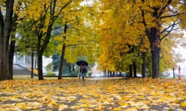 Украинцев ждут дожди и солнце. Фото: скрин YouTube